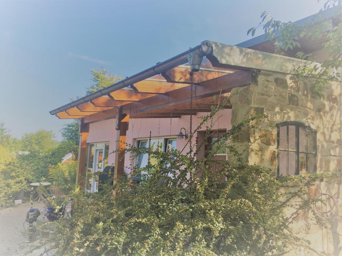 Ferienhaus am Hexenstieg Osterode am Harz Exterior foto